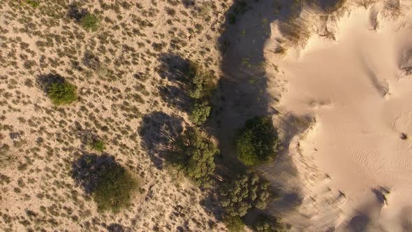 Aerial view of a massive white sand dune in the arid region of the Northern Cape, South Africa