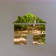 Conceptual Eco Green House in Nature - VideoHive Item for Sale