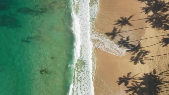 Ideal Tropical Beach Aerial  View