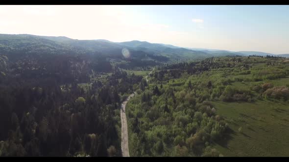 Road Along the Forest Filled Sunlight. Aerial View