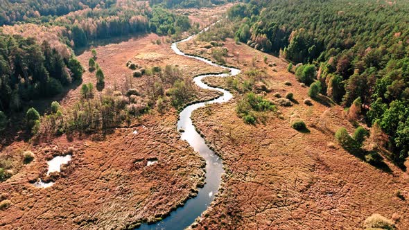 Brown swamps and small river, aerial view of Poland