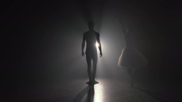 Romantic Professional Ballet Pair Practicing Moves on Dark Stage. Young Couple