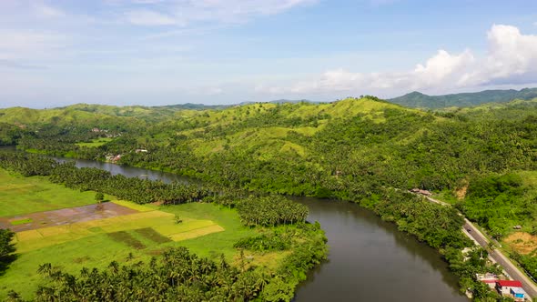 Countryside on a Large Tropical Island