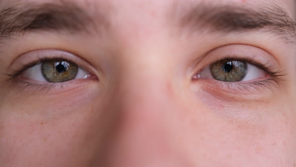 Close up of Man's face. Attractive boy his beautiful green eyes. European young male model looking
