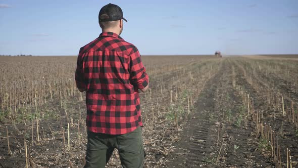 Handsome Farmer with Smartphone Standing in Field Sunflower with Combine Harvester in Background