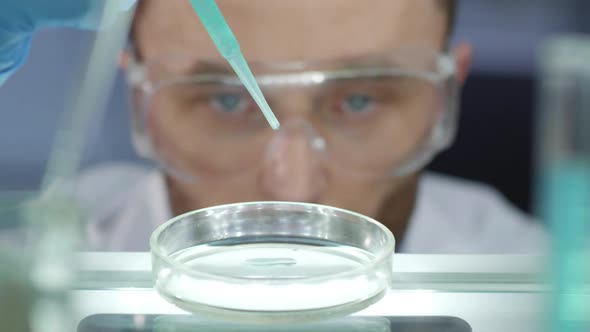 Scientist Dropping Chemical with Pipette into Glass Dish