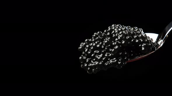 delicious black paddlefish caviar in metal spoon on black background