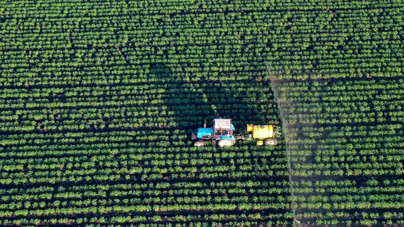 Top View of Field's Fertilizing Process Carried Out By a Tractor, Chemicals Used By Agricultural