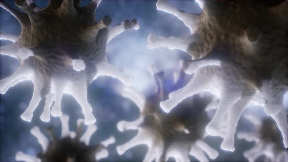 Loop Rotation of Coronavirus COVID-2019 alt