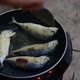 Chef cooking fish fried in pan. - VideoHive Item for Sale