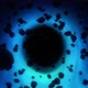 Black Hole - VideoHive Item for Sale