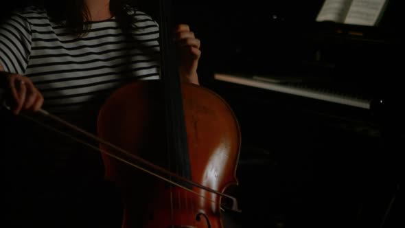 Woman playing a violin