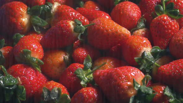 Strawberries In Fine Water Spray