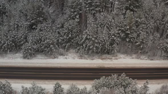 Snow-covered Path Through the Coniferous Forest. Winter Forest and Mountains. View From Above. Drone