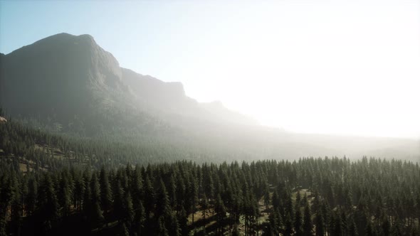 Majestic Mountains with Forest Foreground in Canada alt