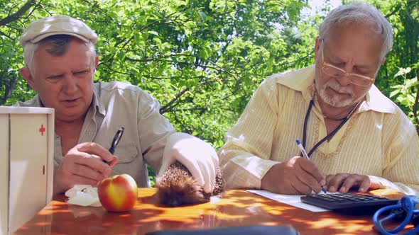 Senior Citizen Holds Hedgehog When Colleague Writes