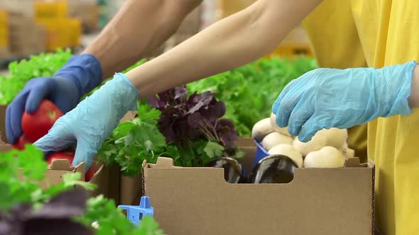 Man and Woman Working with Organic Food and Packaging in Agro Company Indoors Spbd