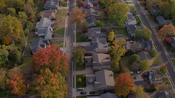 Aerial flyover suburban houses and autumn leaves at sunset.