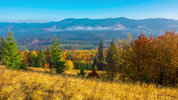 Autumn. Misty Morning in the Mountains