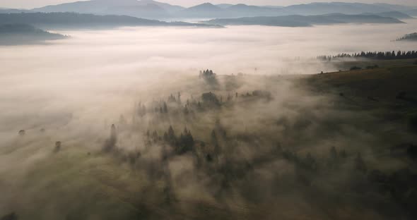 Dense Nebula Covering The Entire Surface Of The Mountains. Carpathian Mountains