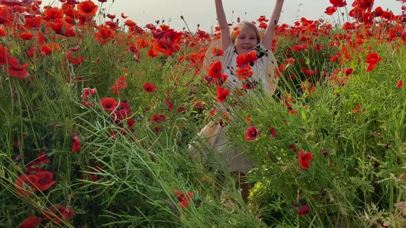 Happy girl in a field of blooming red poppies. Leisure in nature.