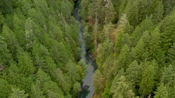 Aerial drone flight over calm creek flowing through lush green forest in the pacific northwest.