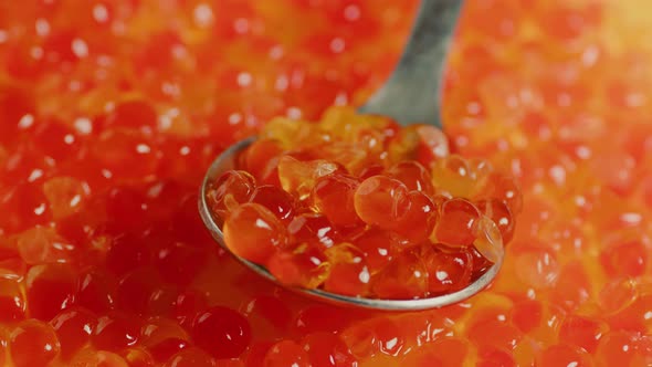 Spoon with Fresh Red Caviar Trout Caviar Closeup