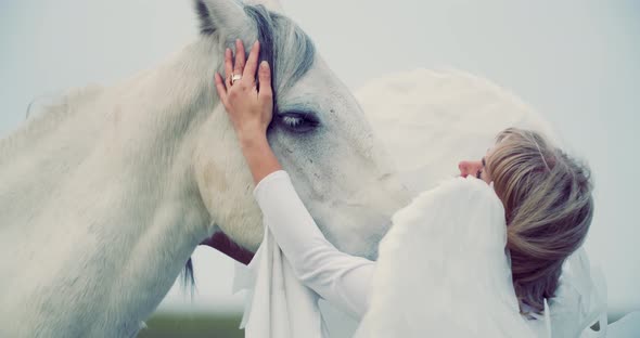 Cloudy Sky in the Background of an Angel Petting a White Horse, Animals, 