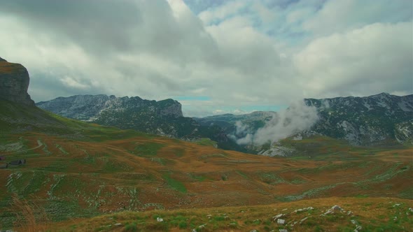 Beautiful View of Sheep Pastures in Mountains