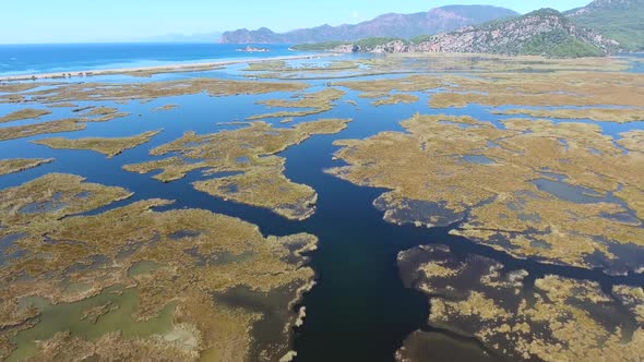 Aerial Swamp Wetland and Lake Next to Reed Delta by Sea