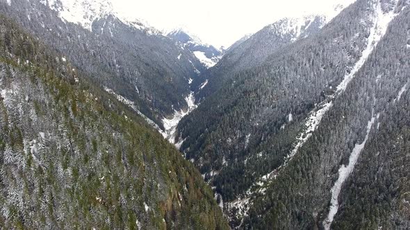 Flying Magnificent Snowy Wooded Valley