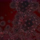 Coronavirus COVID-19 medical animation. The virus model is realistic. - VideoHive Item for Sale