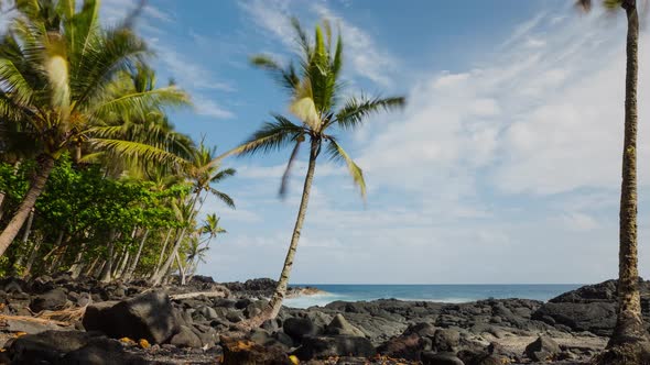 Shoreline of Hawaii Time Lapse