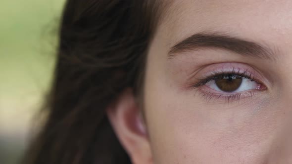 Eye with Long Eyelashes, Beautiful Makeup and Light Brown Eyebrow Close-up. Eyelash Extensions