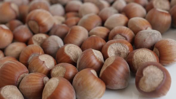 Whole nuts of Corylus avellana close-up 4K 2160p 30fps UltraHD panning footage - Organic  hazelnuts 