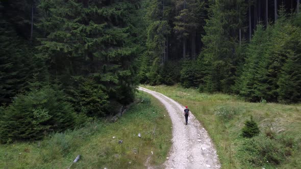 Happy Young Man Walking Through the Trail in Summer Forest