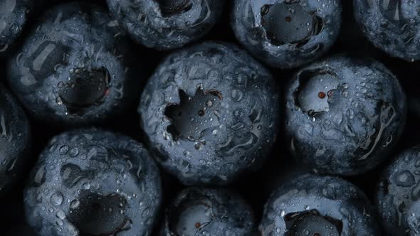 Fresh blueberries macro view, rotation