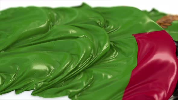 Zambia Flag On A White Chalkboard  alt