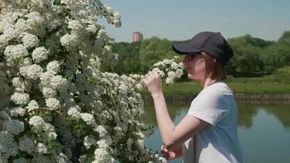 Young Woman Bends Over Kiftsgate Rose Bush Smells Aroma of Flowers Summer Sun