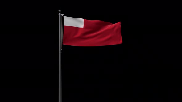 Abu Dhabi City Flag With Alpha 4K