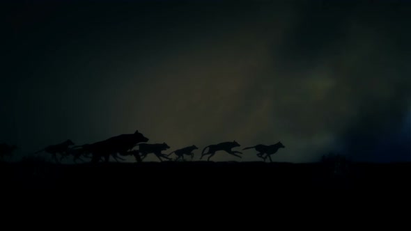 Big Pack Of Wolves Running Through A Lightning Storm