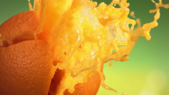 Fresh Orange Fruit Squirting with Juice in Slow Motion in Green Nature Background