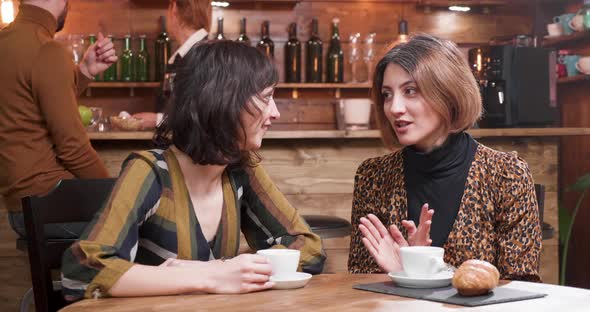 Beautiful Young Women Gossip in a Coffee Shop