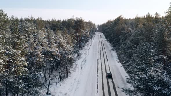 Travelling By Car on a Snowcovered Road Through the Winter Forest  Aerial Shot