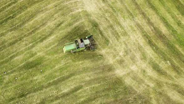 Aerial view of combine harvester harvesting large ripe wheat field. Agriculture from drone view.
