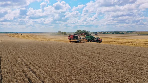 Combine working on wheat field. Harvester combine harvesting wheat and pouring into tractor trailer 