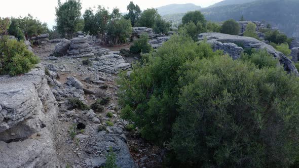 Gray Rock Formations Among Green Trees