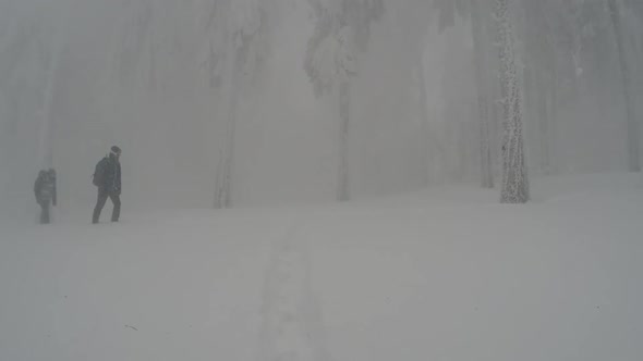 Extreme Trip In A Mountain Forest During A Blizzard