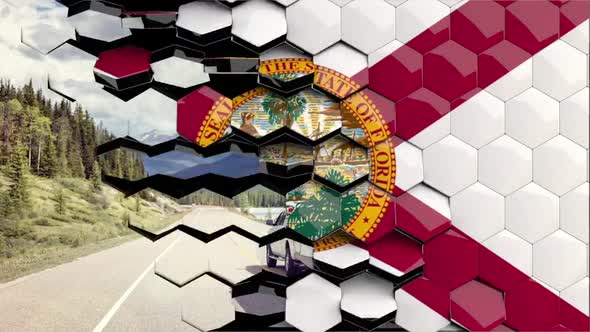 Florida Flag Hexagon Transition - 4K Resolution