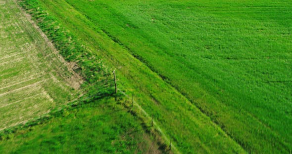 Aerial shot of grass and wheat fields. The camera turns while flying. outdoor, sunny day, medium wid